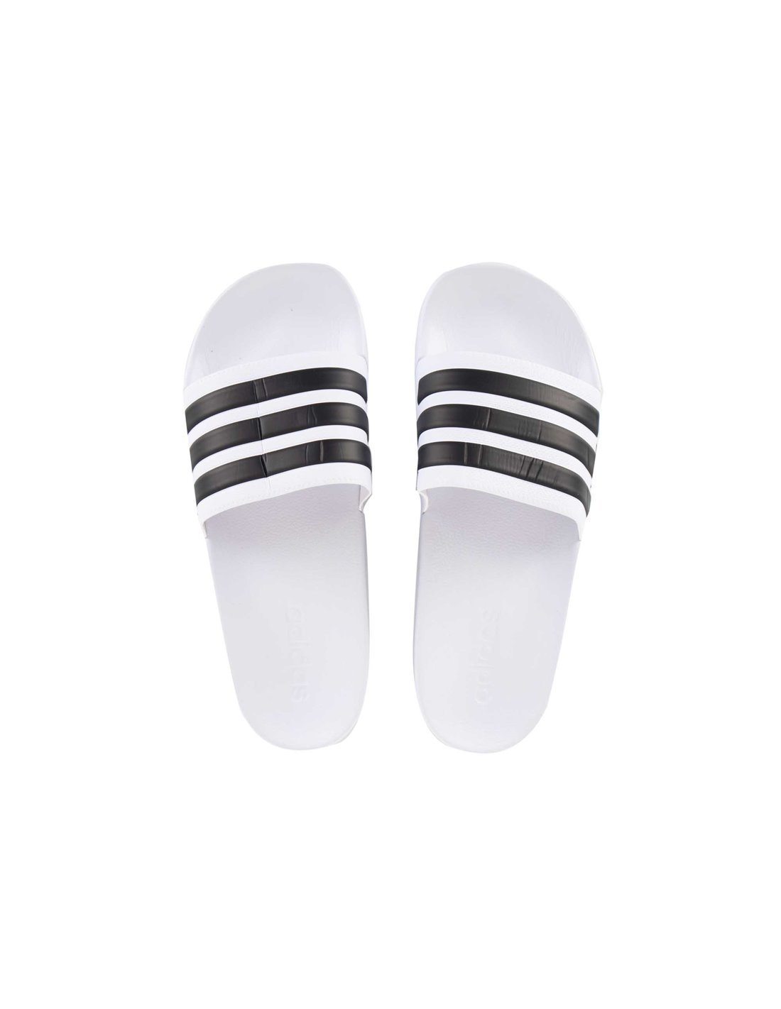Zapatilla