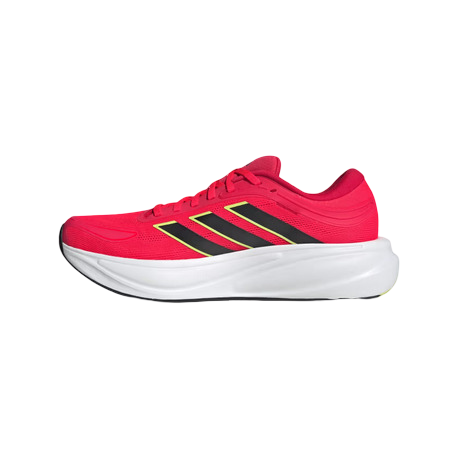 Zapatilla