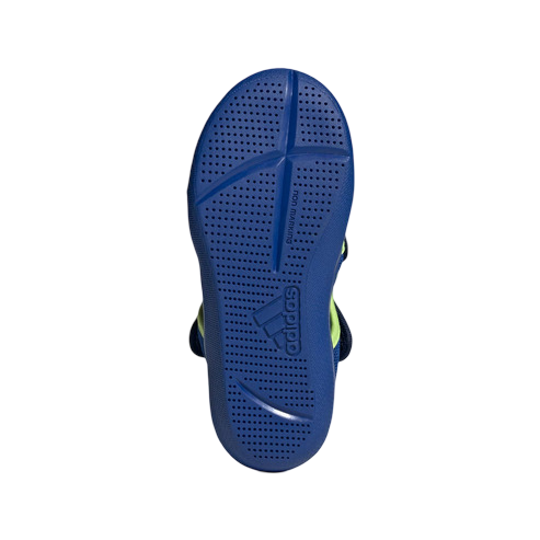 Zapatilla
